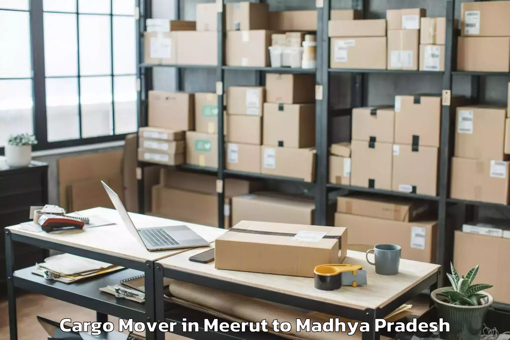 Reliable Meerut to Iit Indore Cargo Mover